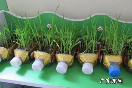 自制花盆废物利用奶粉桶 自制花盆废物利用