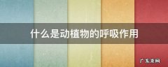 什么是动植物的呼吸作用