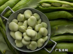 蚕豆的做法大全家常菜视频 蚕豆的做法