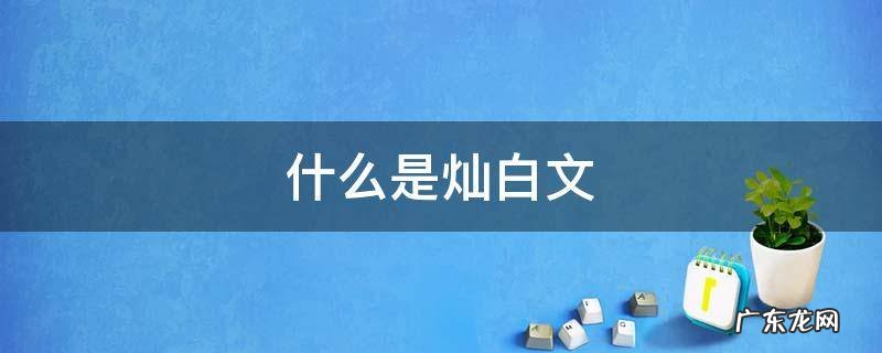 什么是灿白文