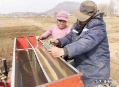 春种指南来了 春耕春种怎么种植