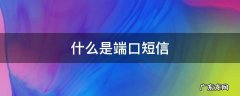 什么是端口短信