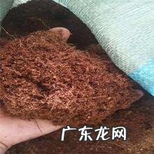 盆景老桩上盆后不发新芽、不生长之我见 椰糠种植树木长得慢怎么回事