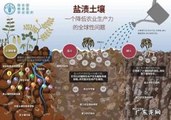 膨大素有哪些 桃树怎么种植才能让果实长大