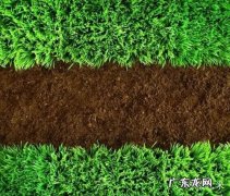 这样处理不仅有效还能事半功倍 怎么给种植土壤杀菌