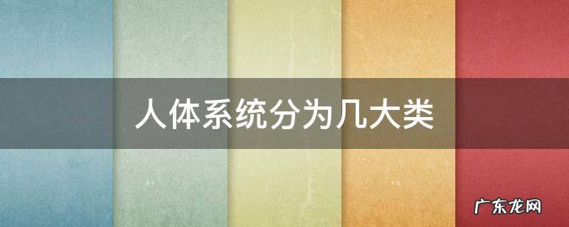 人体系统分为几大类