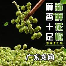 怀念以前的枫杨和水沙树 农村种植的树怎么样