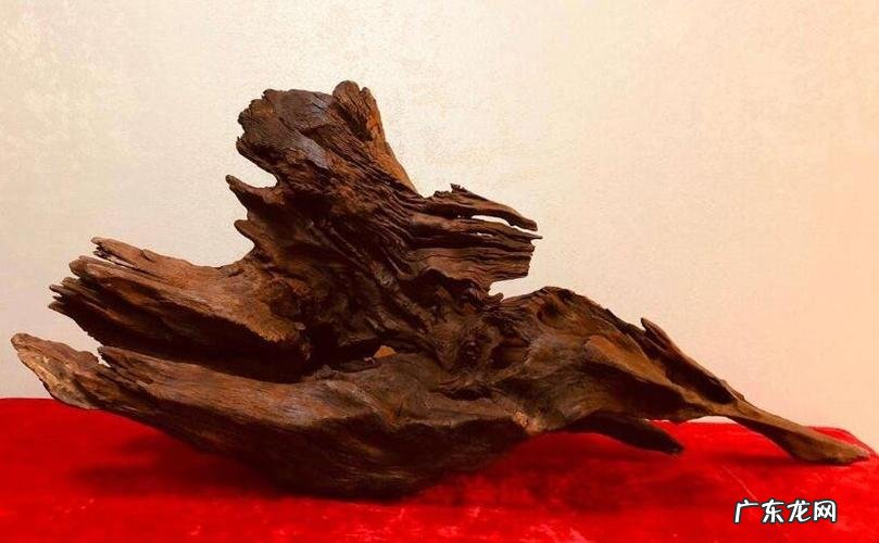 草缸造景中的沉木可以自己做 草缸怎么种植沉木