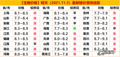 明日猪价更新!明日生猪价格走势预测,你更看好谁？