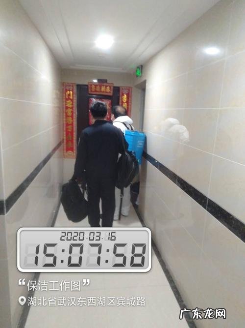 夜仙子飘香四溢 种植火龙果温度高发黄怎么办