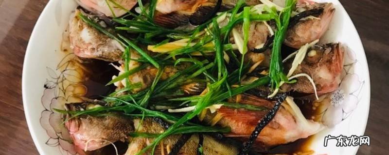 石九公做法,石九公怎样做好吃