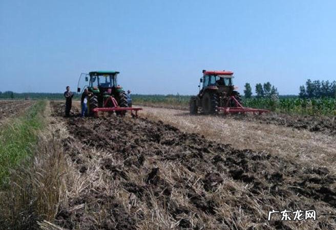 种的土豆发芽快、出苗齐、产量高 完整土豆怎么种植