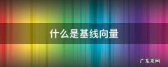 什么是基线向量