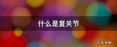 什么是复关节