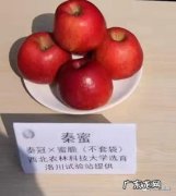 跟着小编一起了解一下 黄豆怎么种植成本高