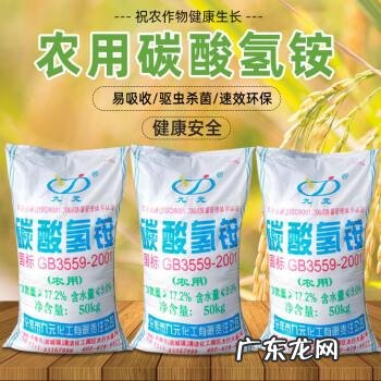 了解栽培技术是必不可少的 塔柏树苗怎么种植成活率高