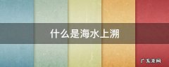 什么是海水上溯