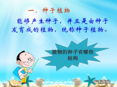 刺梨种植技术 刺梨籽怎么种植