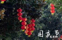 2023国庆节高速路免费几天过路费 2023年国庆节高速免费时间