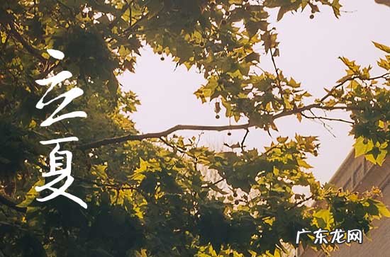 2023年夏天最热多少度 夏天很热吃什么解暑