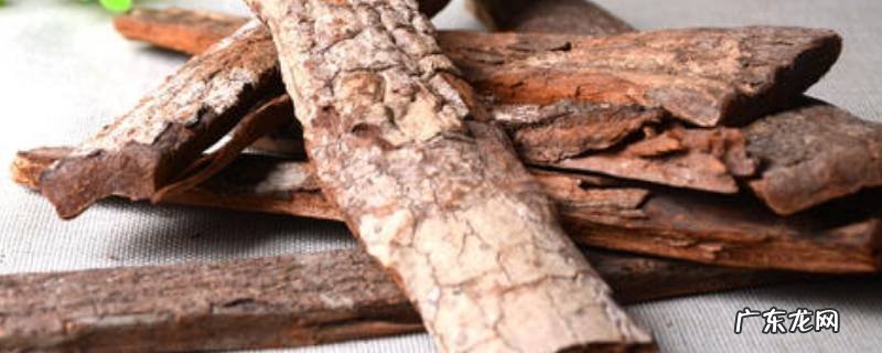 树皮能吃吗,什么树皮不能吃