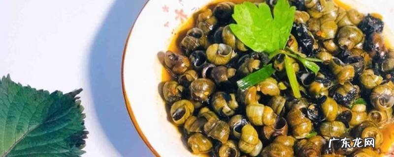 大螺丝怎么炒好吃,炒大螺丝的做法家常做法