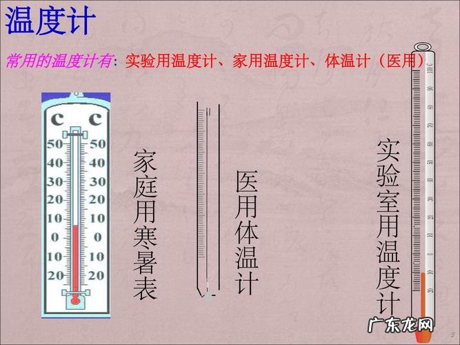 扦插康乃馨 康乃馨插枝后怎么种植
