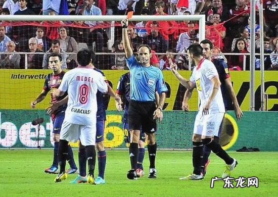 国家出手了 种植毒生姜如何定性