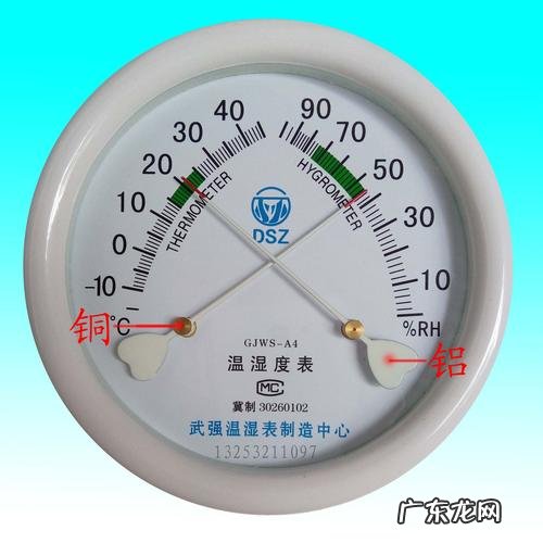 往花盆里扔“葱头” 葱头怎么种植好看