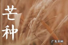 2023年芒种可以回娘家吗 2023年芒种芒种节气的禁忌