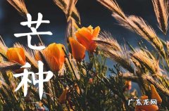 2023年芒种可以种玉米吗 2023年芒种的习俗