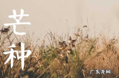 2023年芒种可以干什么 2023年芒种要做什么