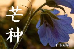 2023年芒种节气又被叫做“开犁节” 2023年芒种的具体时间