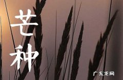 今年芒种是几月几日几点交节2023 芒种后九天交运怎么算
