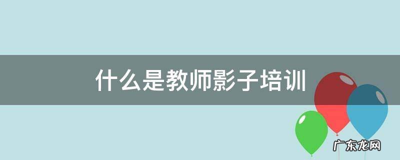 什么是教师影子培训