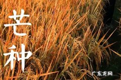2023芒种节气养生短信 你有养生吗