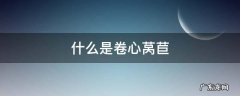 什么是卷心莴苣
