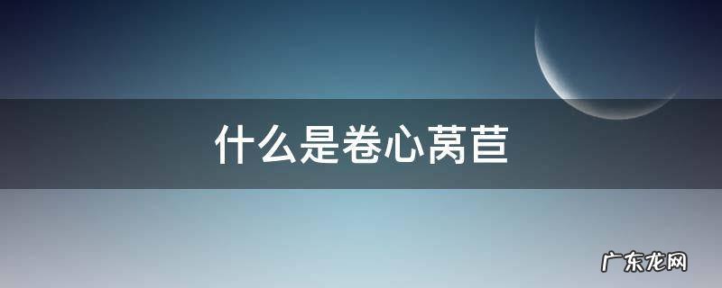 什么是卷心莴苣