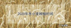 莲藕栽培有讲究 藕肠子怎么种植