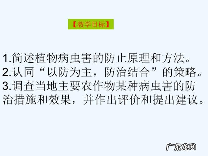 莲藕栽培有讲究 藕肠子怎么种植