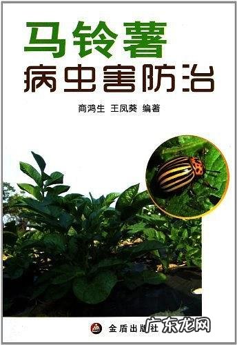 想种好就要先知道 家庭种植黄瓜怎么样