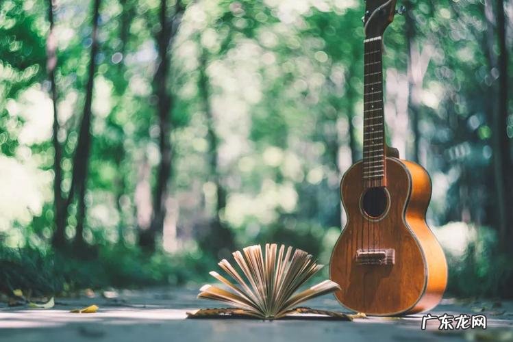 一起来学习吧 如何种植人参果长毛了