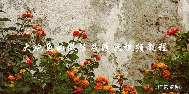 学会如何清洗和做大鲍鱼：视频教程带你轻松掌握！