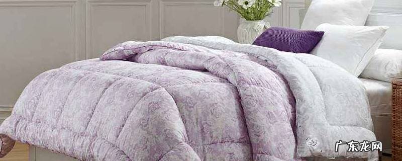 被子落灰怎么办,被子积灰严重怎么办