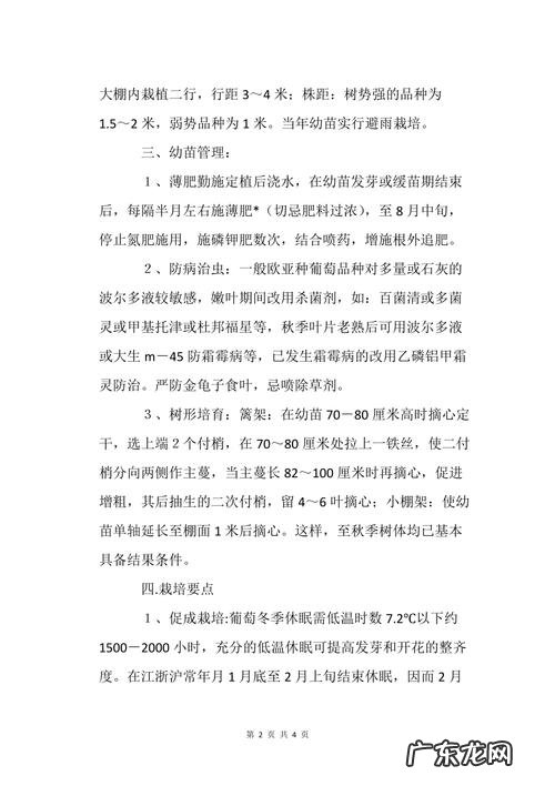 厚强李子苗基地告诉您 玫瑰葡萄苗怎么种植