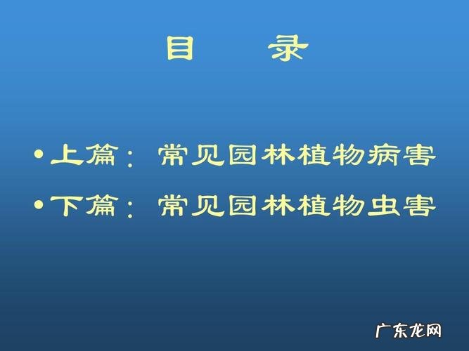 别人庭院都不养花了 芦苇花是怎么种植的