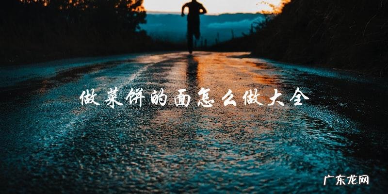 做菜饼的面怎么做大全