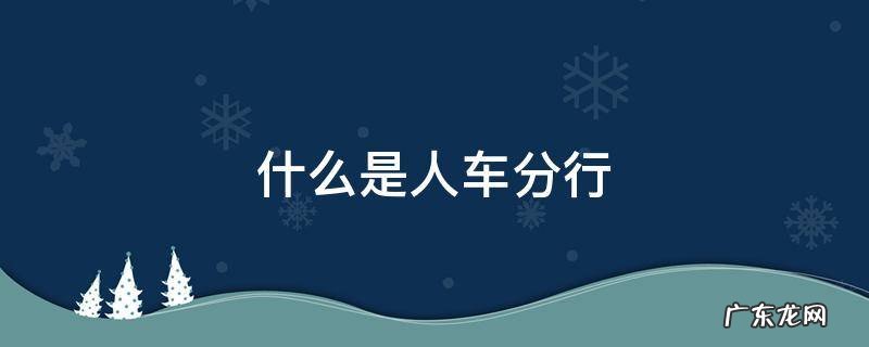什么是人车分行