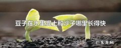 没事儿,有指导有范文 黄豆种植观察日记第八篇怎么写