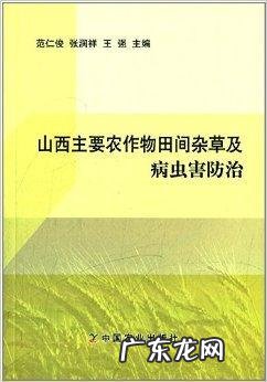 今天就告诉你详细技术 地葱怎么种植